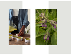 COMFREY SALVE