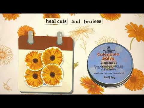 CALENDULA SALVE