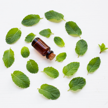 Load image into Gallery viewer, SPEARMINT AND BASIL
