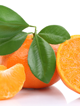 TANGERINE GRAPEFRUIT SOAP