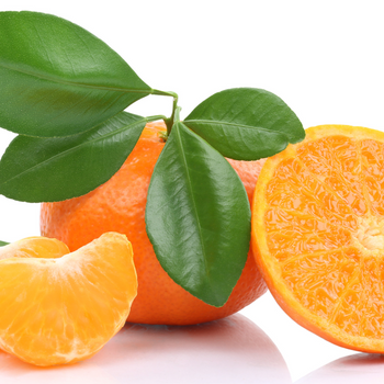 TANGERINE GRAPEFRUIT SOAP